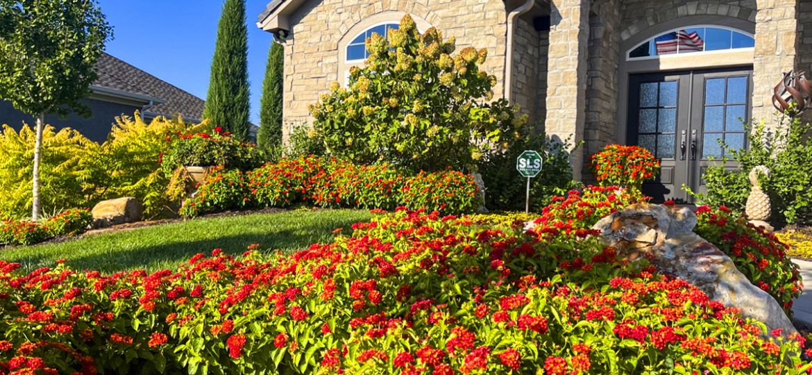 Red flowers in front of a house